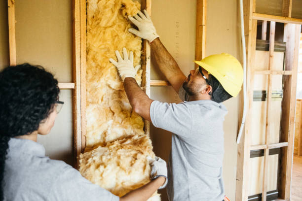 Best Insulation Contractors for Homes  in Osceola Mills, PA