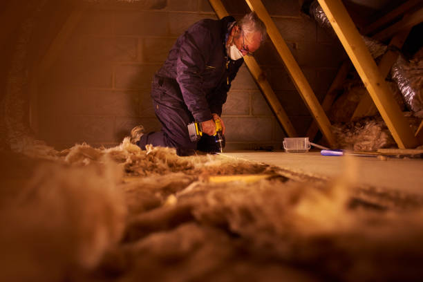 Best Fiberglass Insulation  in Osceola Mills, PA